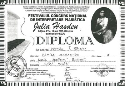 concurs-damian-alexandru-premiu-1-special-2013--campina